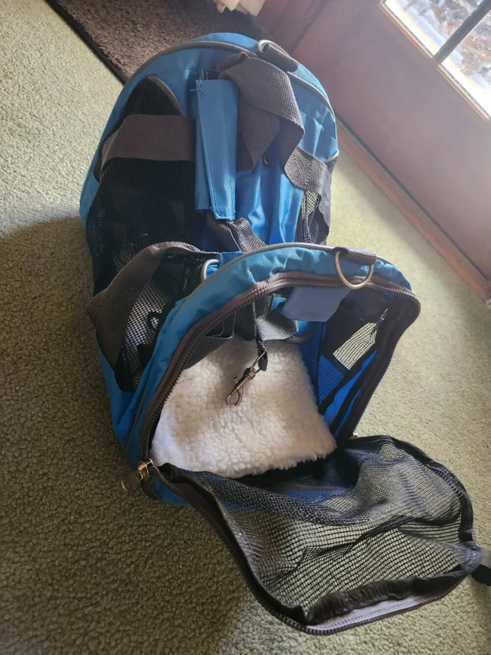 World Pet Small Pet Carrier Fits Cats and Small Breed Animals Blue 15 L X 8 H X